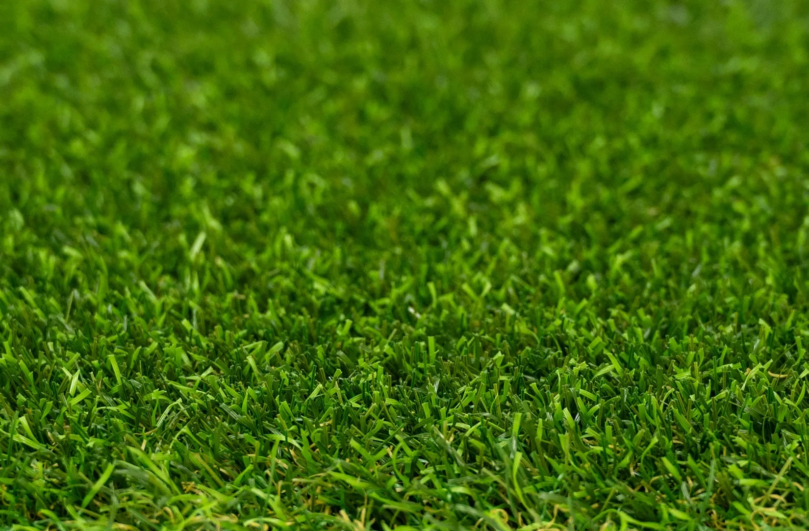 Amsterdam kunstgras — detailfoto 3