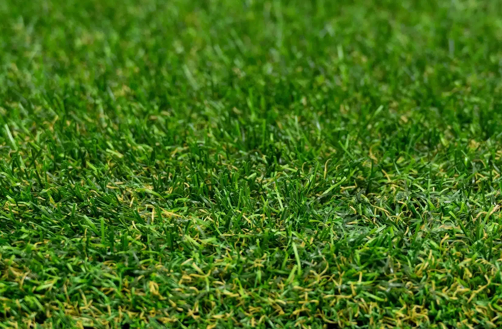Paris kunstgras — detailfoto 3