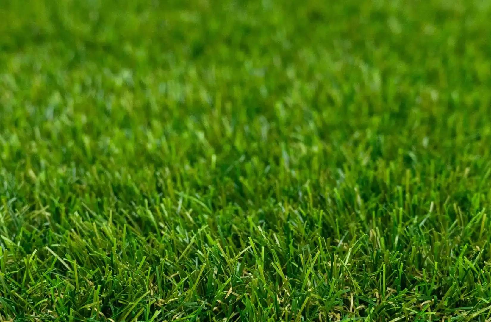 Roma kunstgras — detailfoto 4